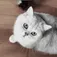User bushuai